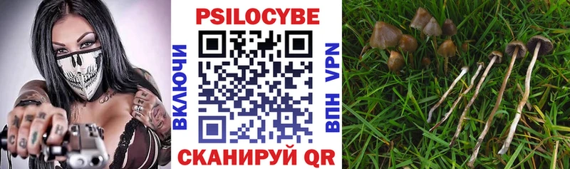 продажа наркотиков  omg зеркало  Псилоцибиновые грибы GOLDEN TEACHER  Колпашево 